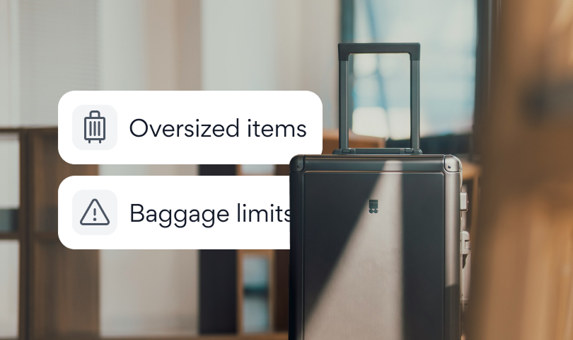 Travel baggage and guidelines overview